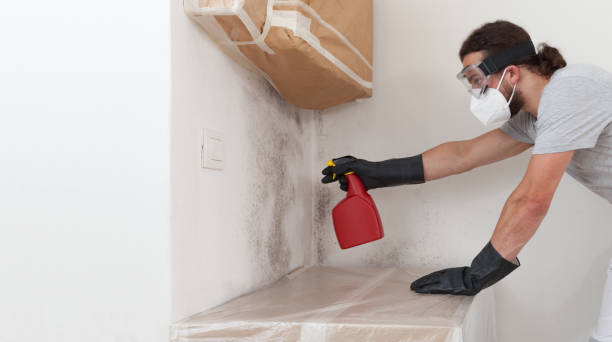 Professional Bathroom Mold Removal technician working in Sequim, WA