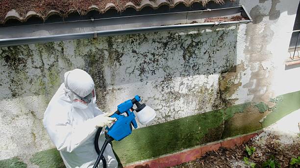 Top rated local Bathroom Mold Removal specialists in Sequim, WA